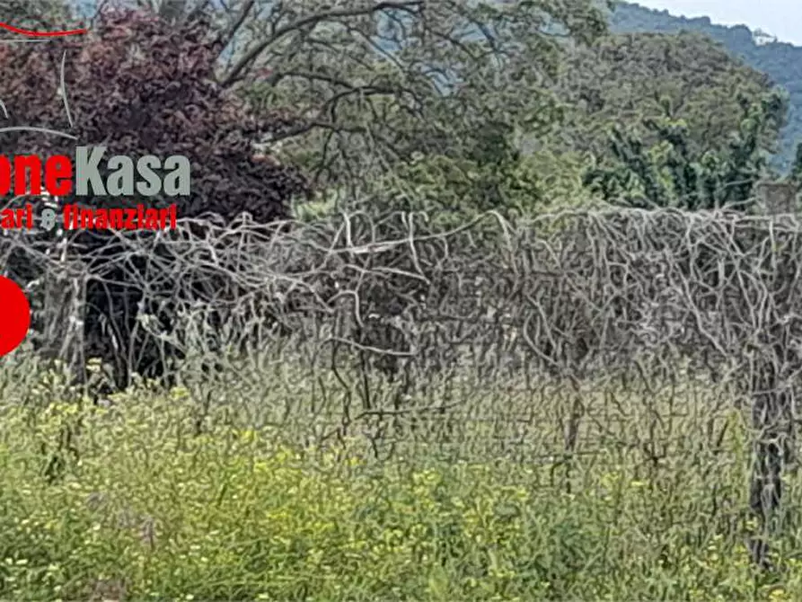 Immagine 2 di Terreno agricolo in vendita  in Via statale Appia a Maddaloni