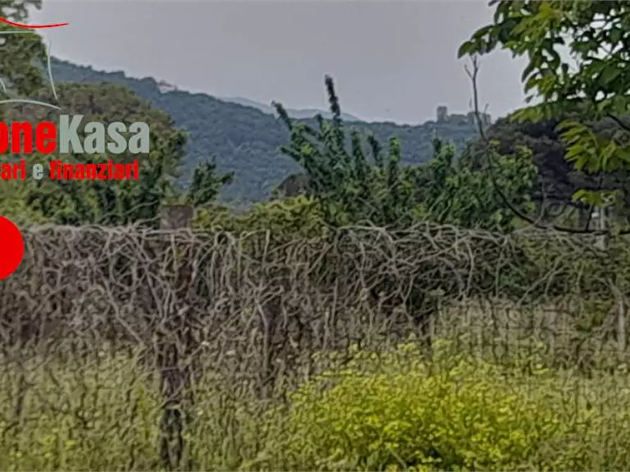 Immagine 3 di Terreno agricolo in vendita  in Via statale Appia a Maddaloni