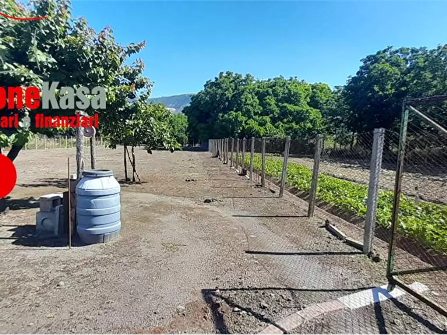 Immagine 4 di Terreno agricolo in vendita  in Via Capua a Nola