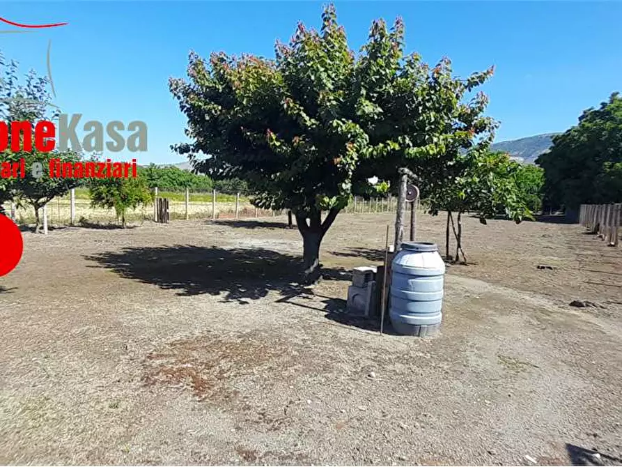 Immagine 5 di Terreno agricolo in vendita  in Via Capua a Nola