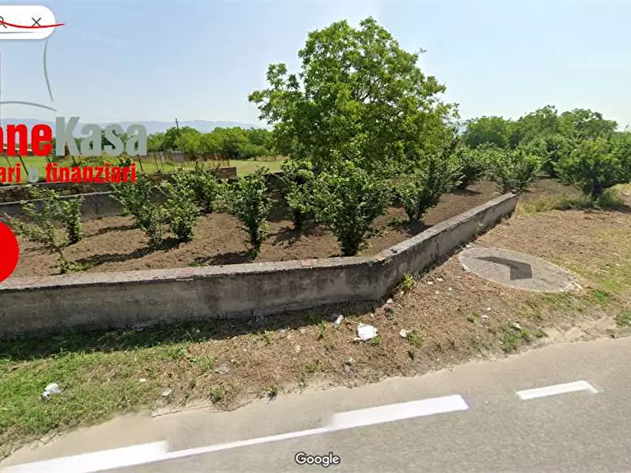 Immagine 7 di Terreno agricolo in vendita  in via de siervo  24 a Nola