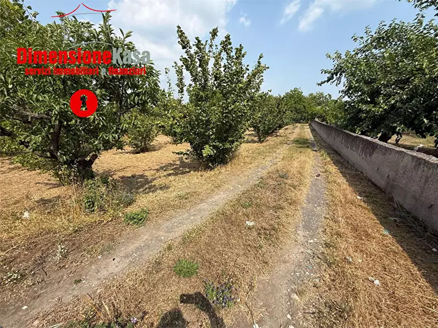 Immagine 10 di Terreno agricolo in vendita  in via de siervo  24 a Nola