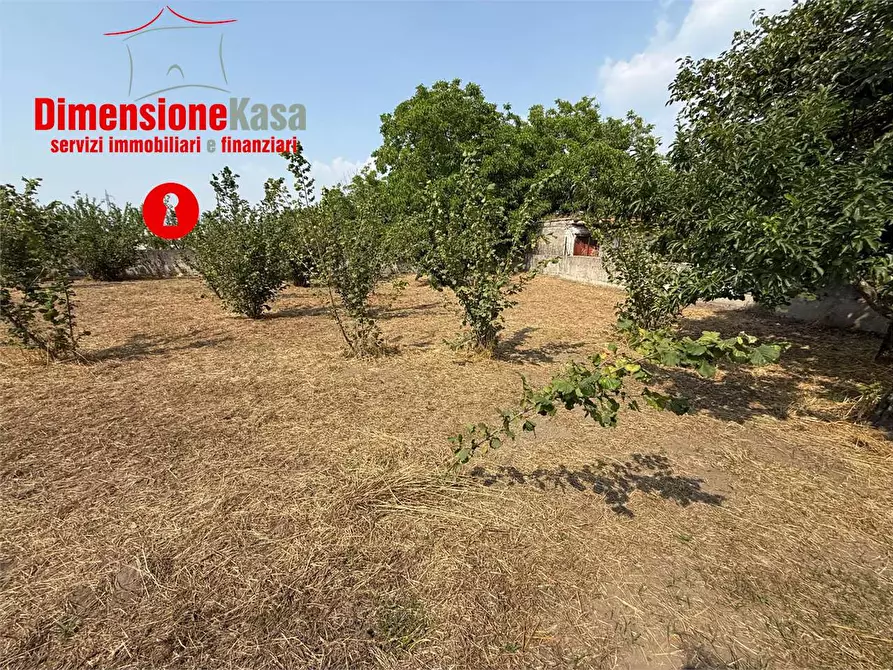 Immagine 5 di Terreno agricolo in vendita  in via de siervo  24 a Nola