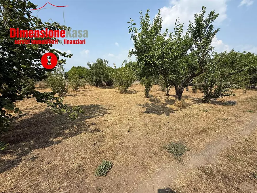 Immagine 11 di Terreno agricolo in vendita  in via de siervo  24 a Nola
