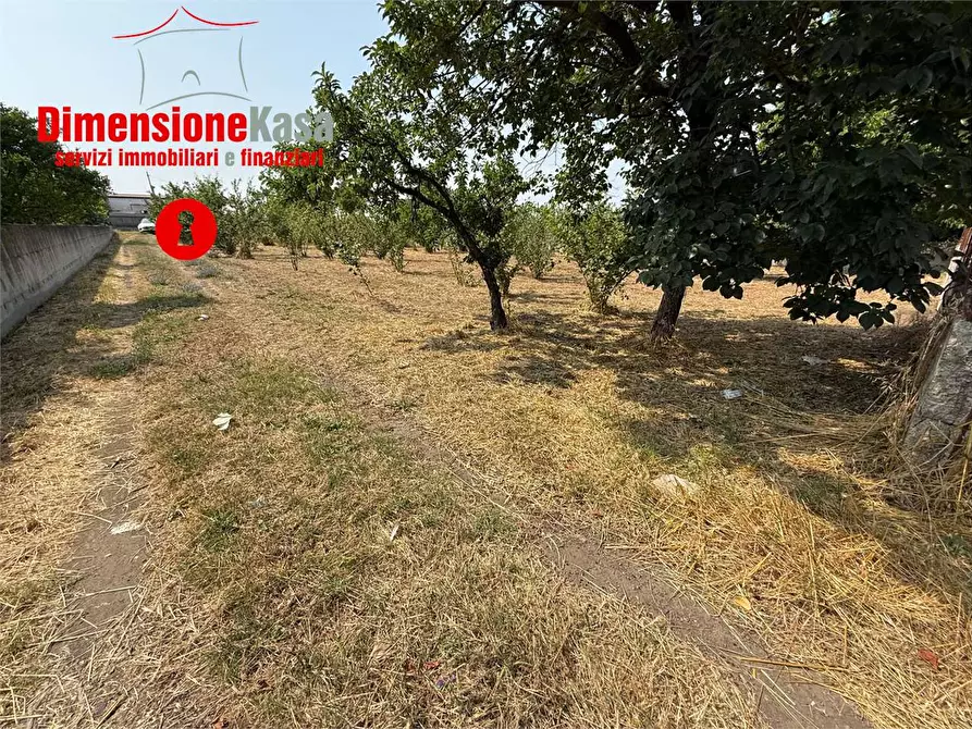 Immagine 3 di Terreno agricolo in vendita  in via de siervo  24 a Nola