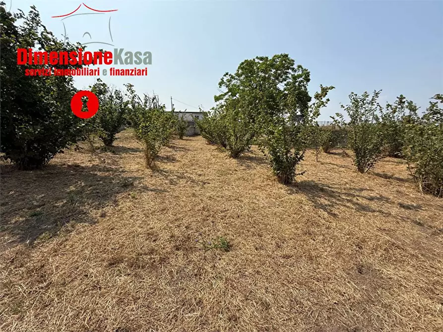 Immagine 12 di Terreno agricolo in vendita  in via de siervo  24 a Nola
