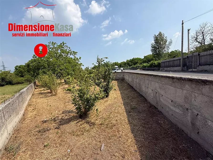 Immagine 1 di Terreno agricolo in vendita  in via de siervo  24 a Nola