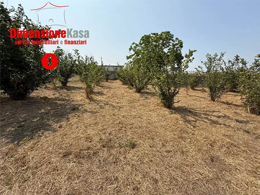 Immagine 4 di Terreno agricolo in vendita  in via de siervo  24 a Nola