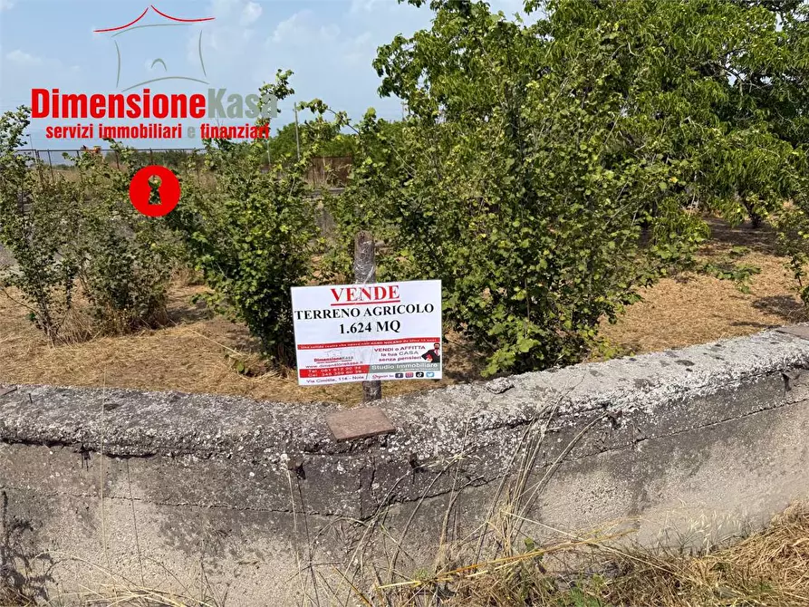 Immagine 14 di Terreno agricolo in vendita  in via de siervo  24 a Nola