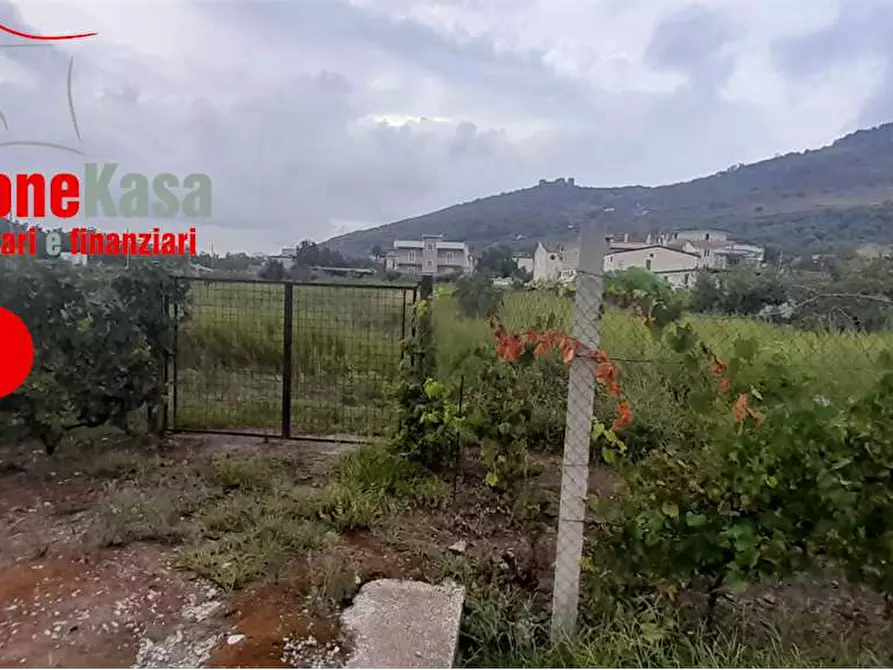 Immagine 1 di Terreno agricolo in vendita  in via polvica a San Felice A Cancello