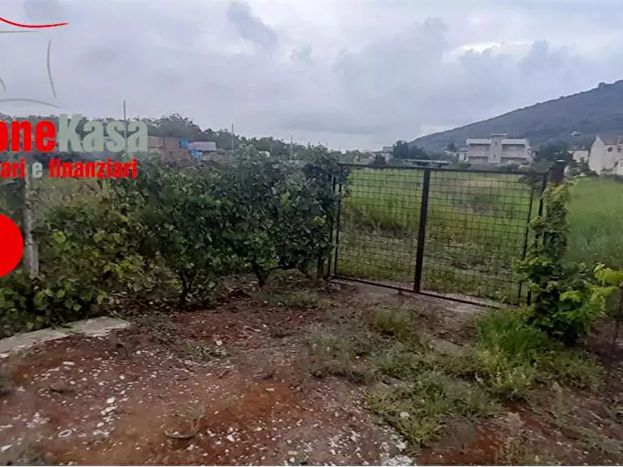 Immagine 2 di Terreno agricolo in vendita  in via polvica a San Felice A Cancello