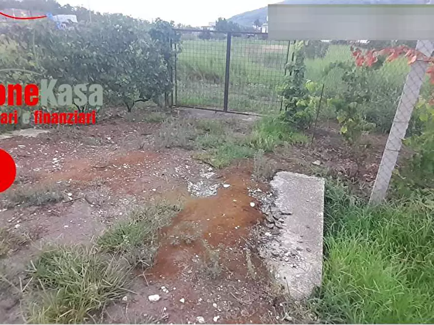 Immagine 3 di Terreno agricolo in vendita  in via polvica a San Felice A Cancello