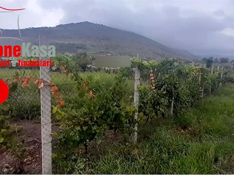 Immagine 4 di Terreno agricolo in vendita  in via polvica a San Felice A Cancello