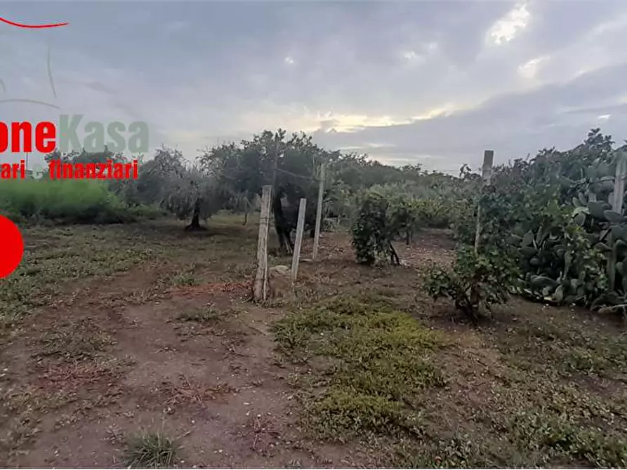 Immagine 7 di Terreno agricolo in vendita  in via polvica a San Felice A Cancello