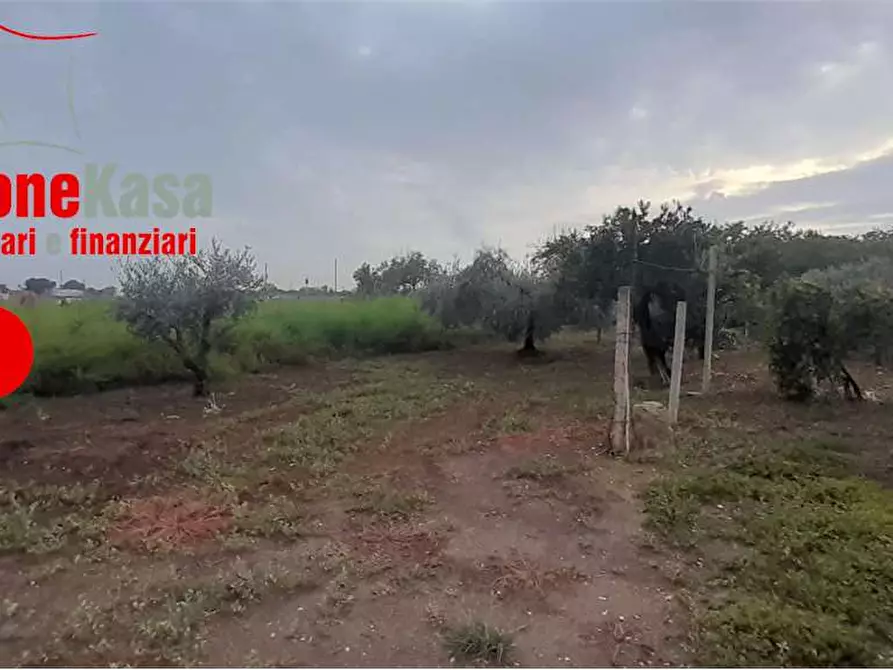 Immagine 8 di Terreno agricolo in vendita  in via polvica a San Felice A Cancello