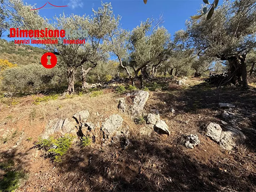 Immagine 1 di Terreno agricolo in vendita  in Via Veccio 52 a Roccarainola