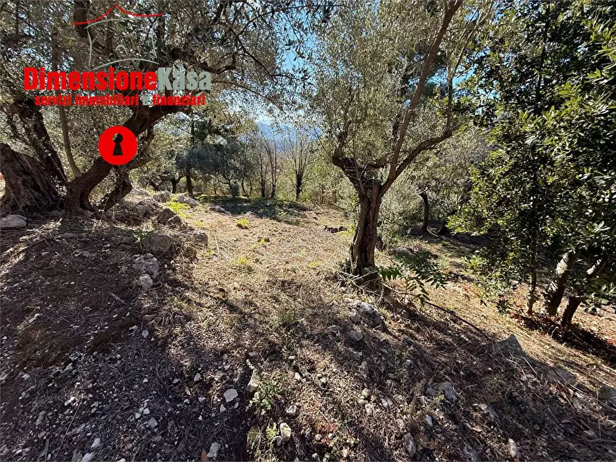 Immagine 3 di Terreno agricolo in vendita  in Via Veccio 52 a Roccarainola