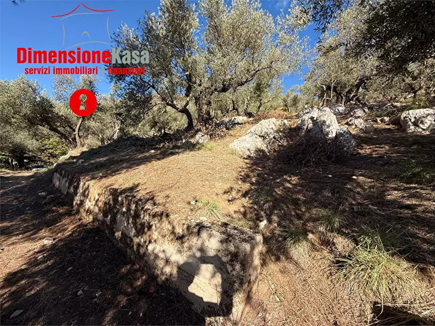 Immagine 4 di Terreno agricolo in vendita  in Via Veccio 52 a Roccarainola