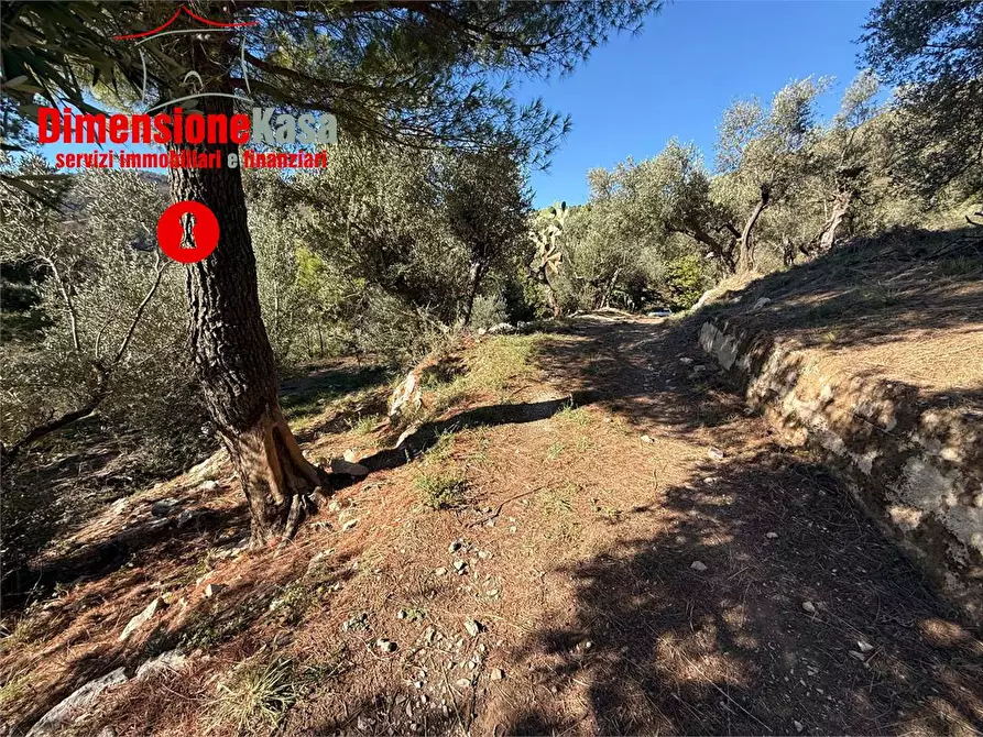 Immagine 6 di Terreno agricolo in vendita  in Via Veccio 52 a Roccarainola