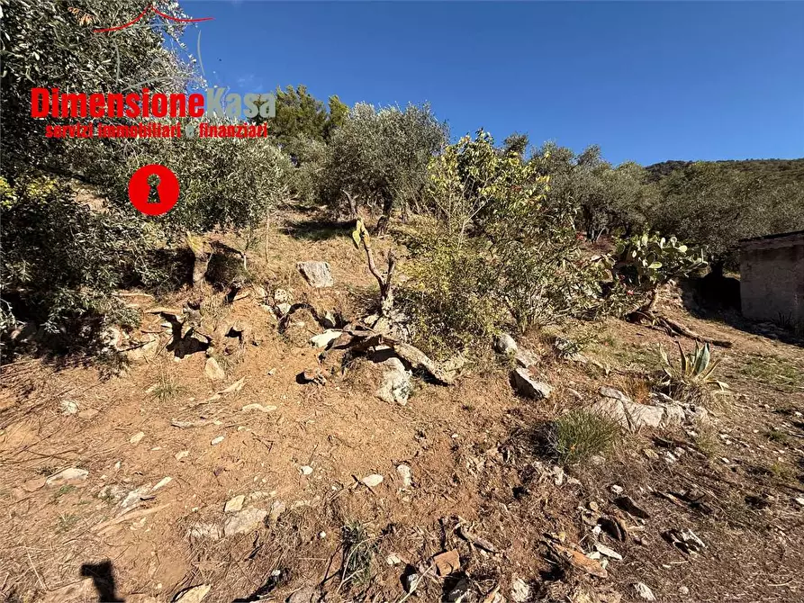 Immagine 7 di Terreno agricolo in vendita  in Via Veccio 52 a Roccarainola