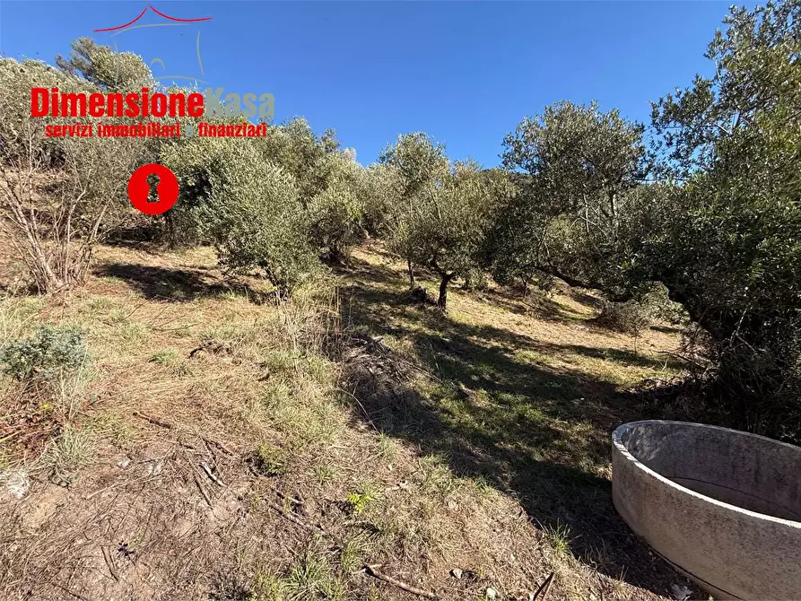 Immagine 16 di Terreno agricolo in vendita  in Via Veccio 52 a Roccarainola