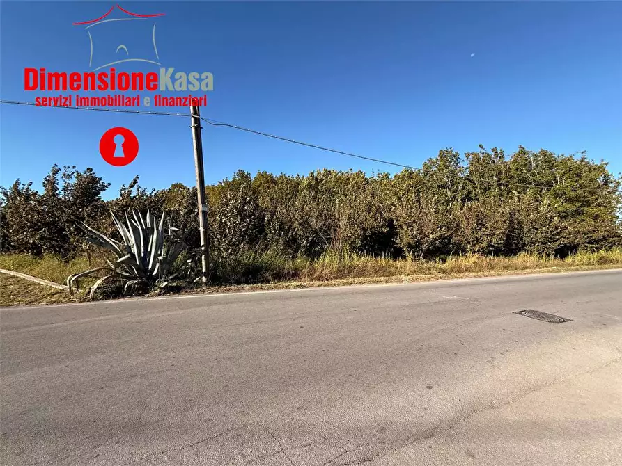 Immagine 1 di Terreno agricolo in vendita  in Via Gramsci 72 a Cimitile