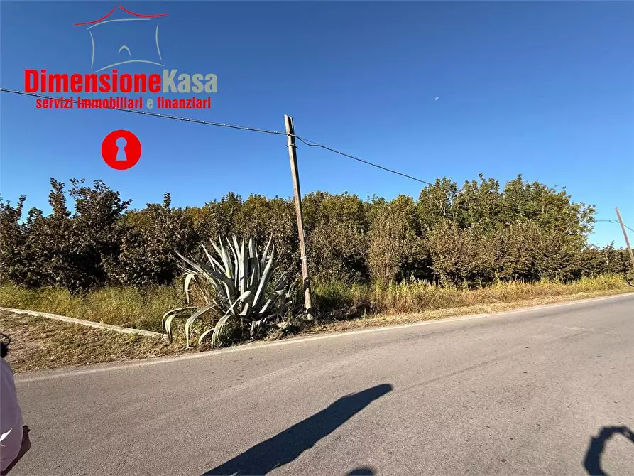 Immagine 2 di Terreno agricolo in vendita  in Via Gramsci 72 a Cimitile