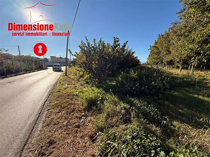 Immagine 4 di Terreno agricolo in vendita  in Via Gramsci 72 a Cimitile