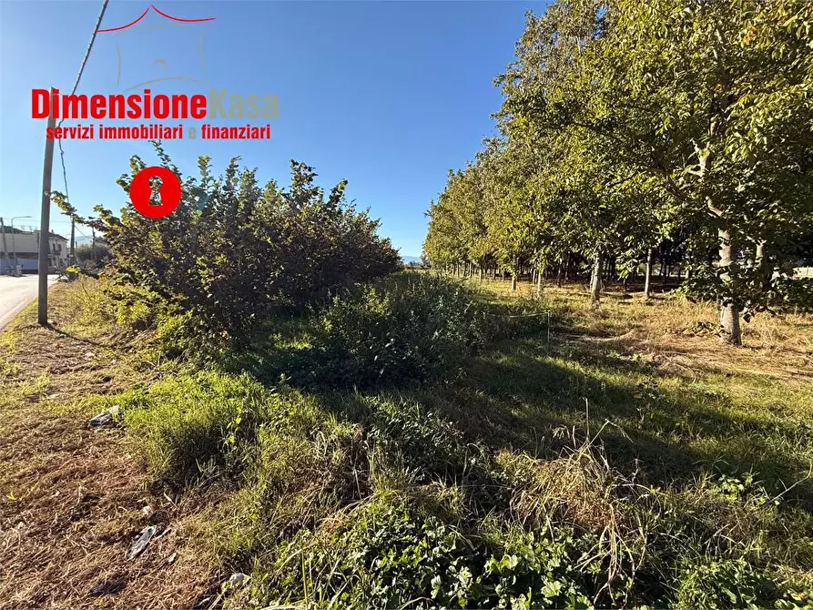 Immagine 5 di Terreno agricolo in vendita  in Via Gramsci 72 a Cimitile