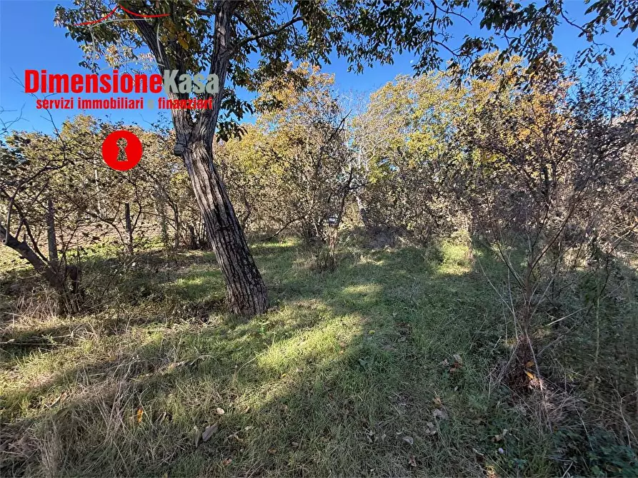 Immagine 4 di Terreno agricolo in vendita  in str. vicinale marisco 2 a Cicciano