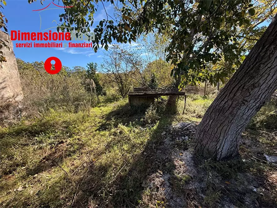Immagine 6 di Terreno agricolo in vendita  in str. vicinale marisco 2 a Cicciano