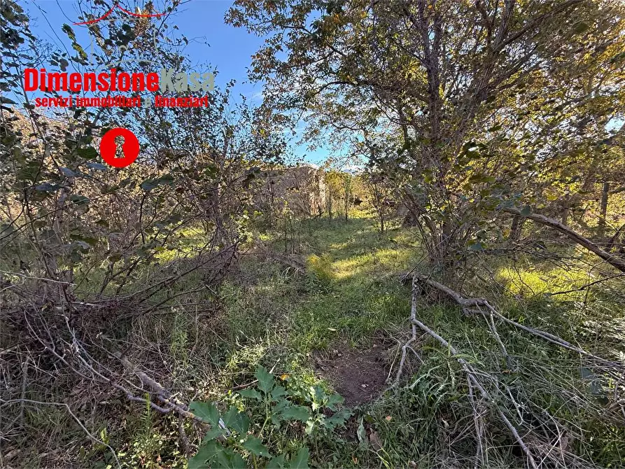 Immagine 8 di Terreno agricolo in vendita  in str. vicinale marisco 2 a Cicciano