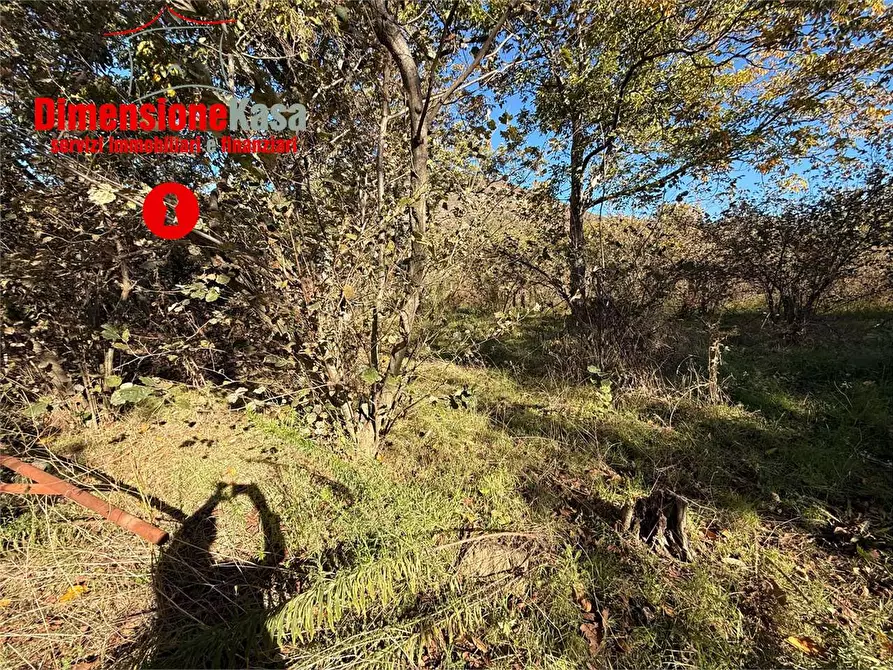 Immagine 9 di Terreno agricolo in vendita  in str. vicinale marisco 2 a Cicciano