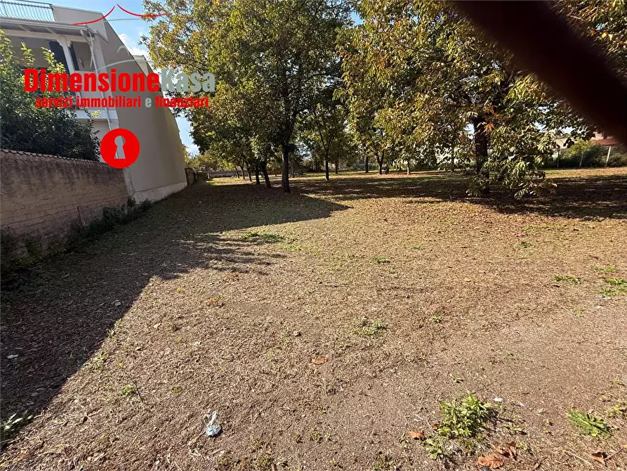 Immagine 2 di Terreno in affitto  in via Tommasoni a Saviano