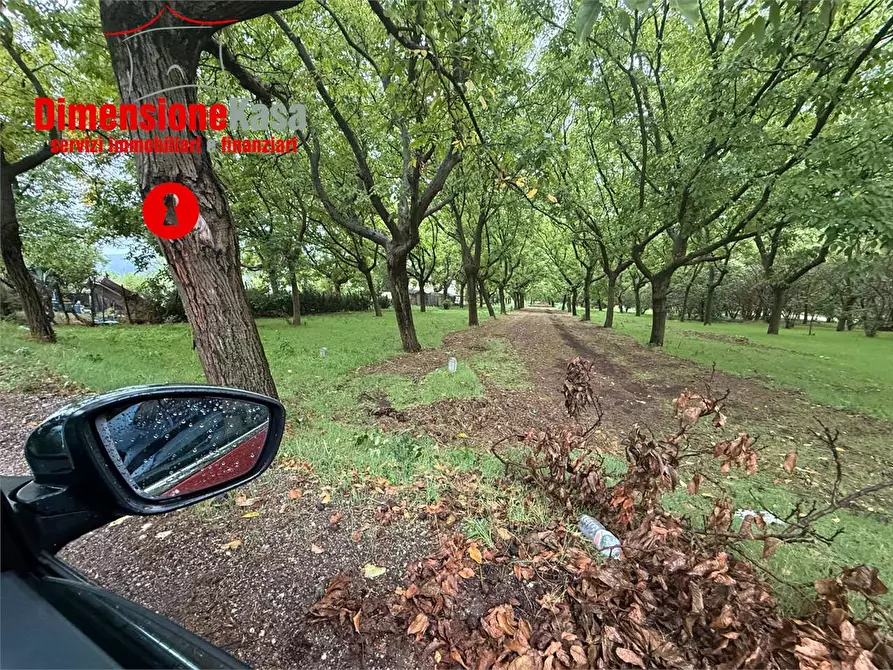 Immagine 1 di Terreno agricolo in vendita  in strada vicinale lavarone a Cicciano
