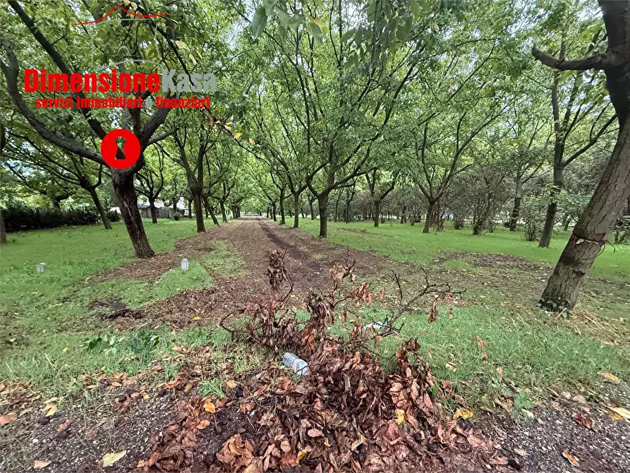 Immagine 2 di Terreno agricolo in vendita  in strada vicinale lavarone a Cicciano