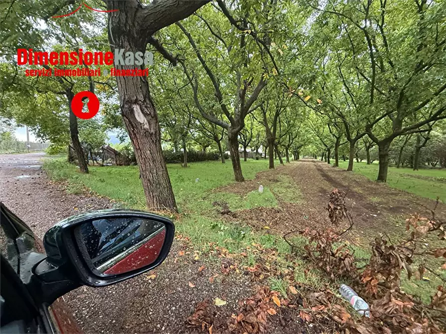 Immagine 3 di Terreno agricolo in vendita  in strada vicinale lavarone a Cicciano