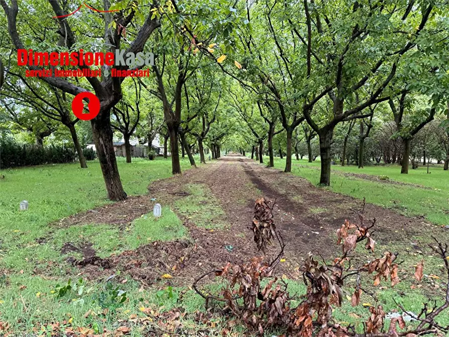 Immagine 4 di Terreno agricolo in vendita  in strada vicinale lavarone a Cicciano