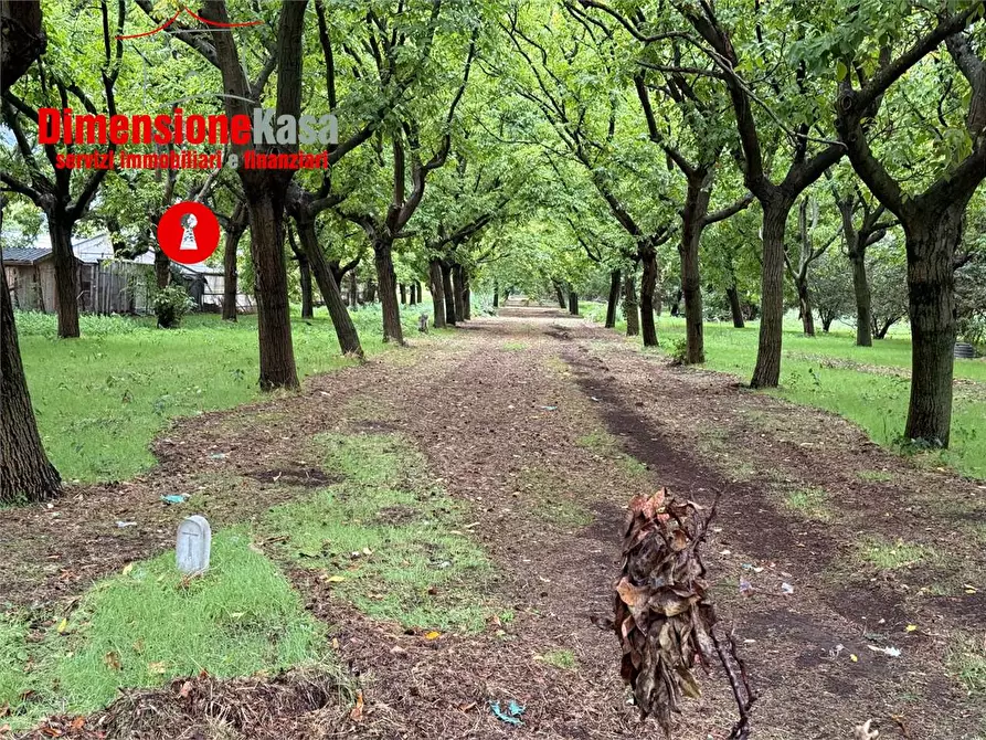 Immagine 5 di Terreno agricolo in vendita  in strada vicinale lavarone a Cicciano
