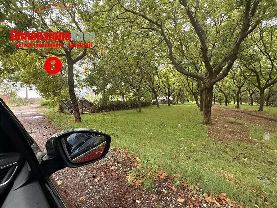 Immagine 6 di Terreno agricolo in vendita  in strada vicinale lavarone a Cicciano