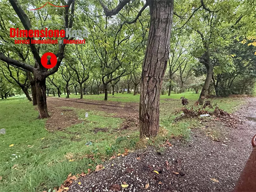 Immagine 7 di Terreno agricolo in vendita  in strada vicinale lavarone a Cicciano