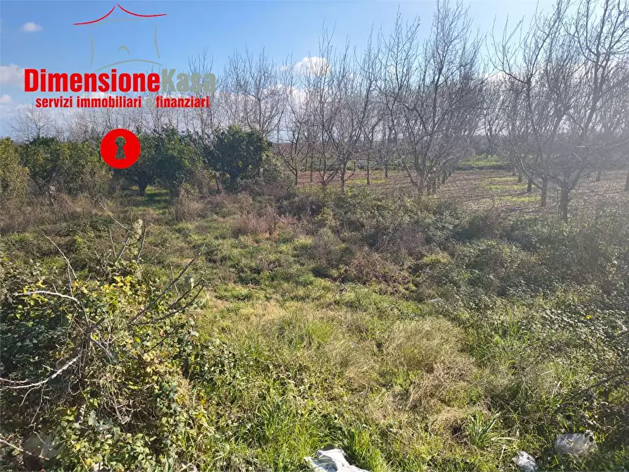 Immagine 2 di Terreno agricolo in vendita  in Via polvica a San Felice A Cancello