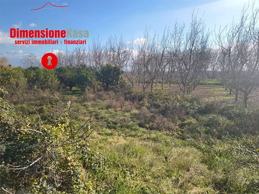 Immagine 3 di Terreno agricolo in vendita  in Via polvica a San Felice A Cancello