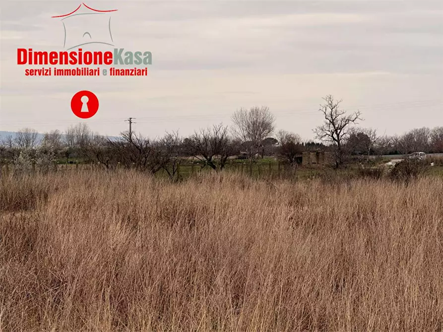 Immagine 7 di Terreno agricolo in vendita  in Via Nuova del Bosco a Marigliano