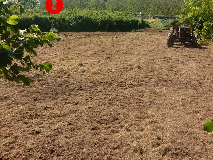 Immagine 1 di Terreno agricolo in vendita  in Via polvica a San Felice A Cancello