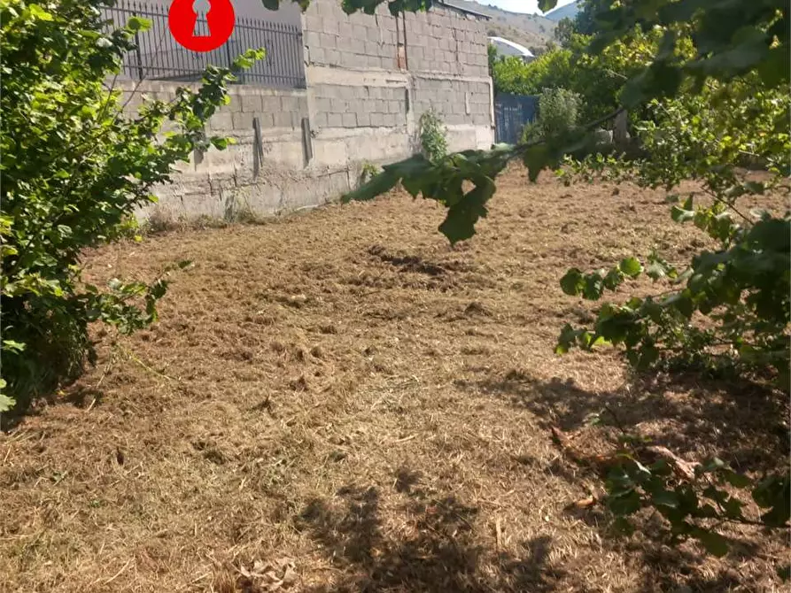Immagine 2 di Terreno agricolo in vendita  in Via polvica a San Felice A Cancello