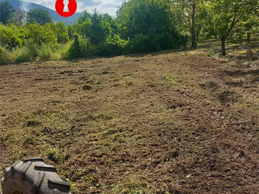 Immagine 3 di Terreno agricolo in vendita  in Via polvica a San Felice A Cancello