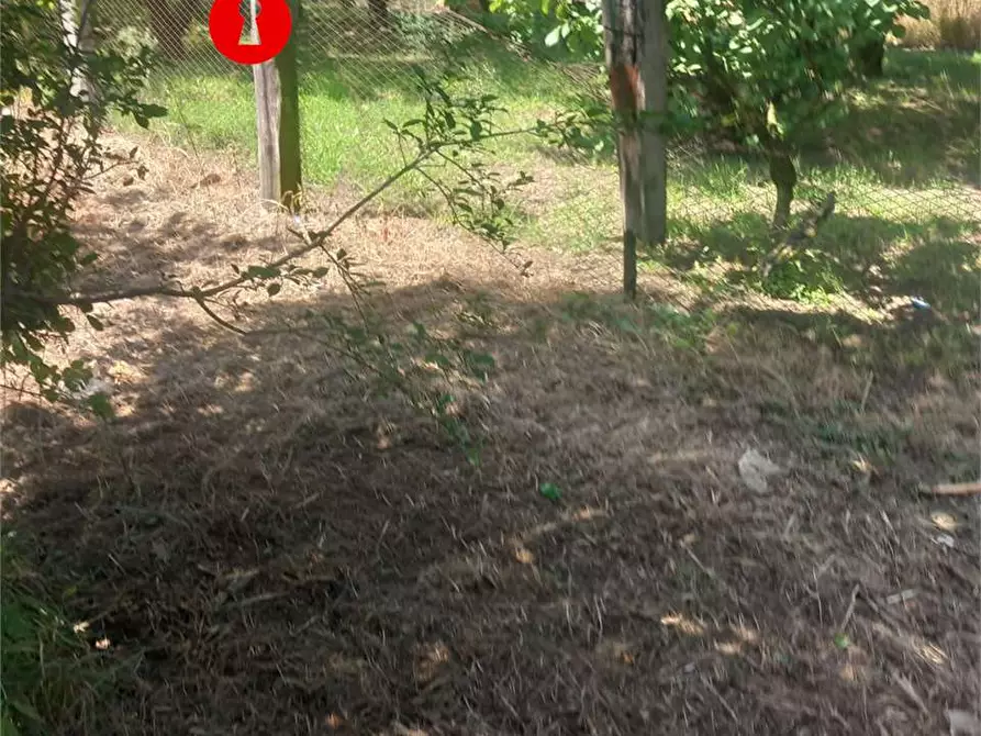 Immagine 4 di Terreno agricolo in vendita  in Via polvica a San Felice A Cancello