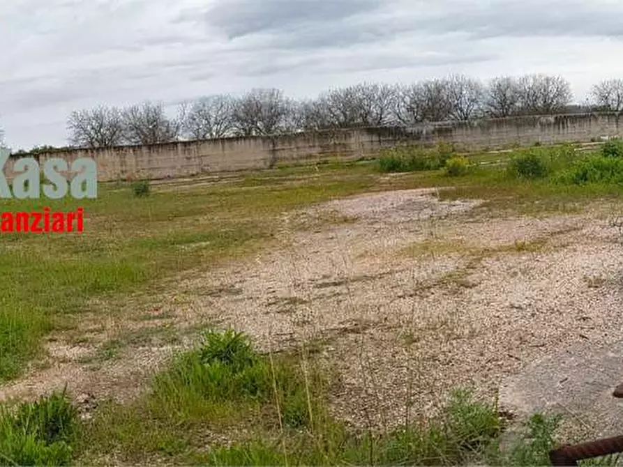 Immagine 2 di Terreno agricolo in vendita  in Via provinciale ponte dei cani 35 a Marigliano