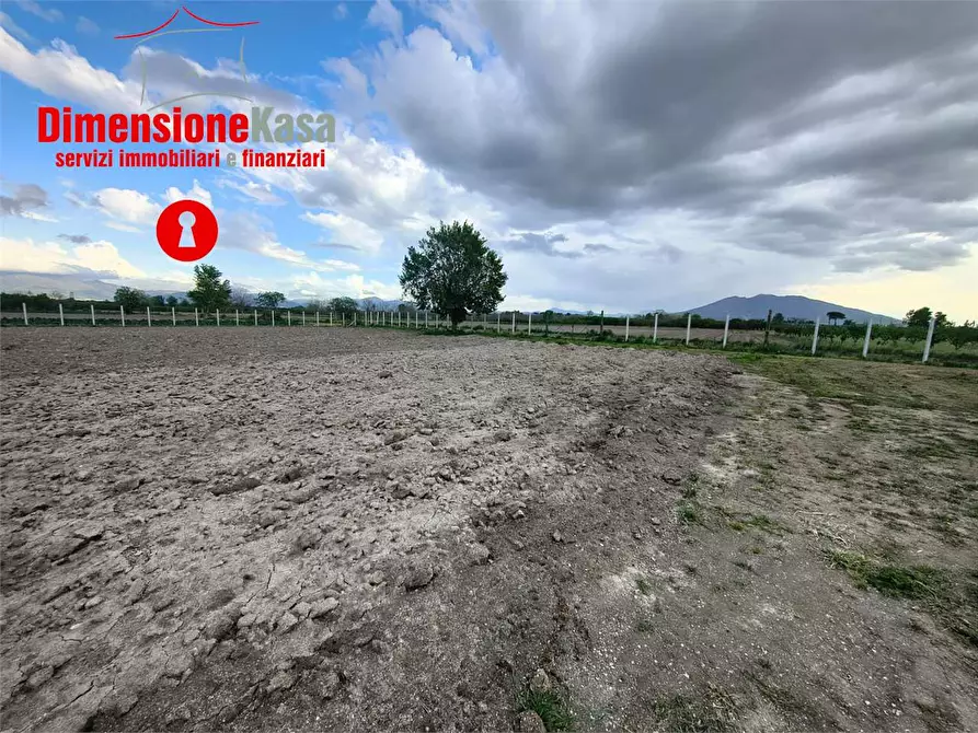 Immagine 9 di Terreno agricolo in vendita  in via pezzalunga a Acerra